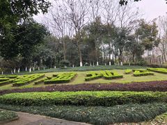 -重庆彩云湖湿地公园