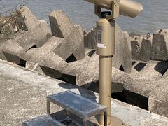 -上海滨江森林公园