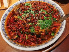 -杨记隆府(重庆总店)