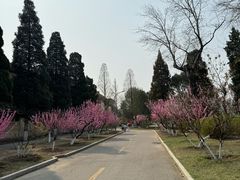 -中国农业博物馆