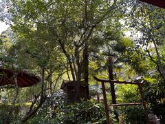 -西安国际创新人才交流中心•药浴温泉