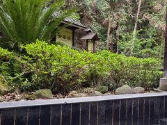 -明月山天沐温泉度假村