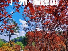 -广州市帽峰山景区
