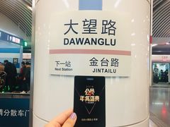 -大望路(地铁站)