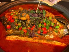 -探鱼·鲜青椒爽麻烤鱼(番禺万达店)