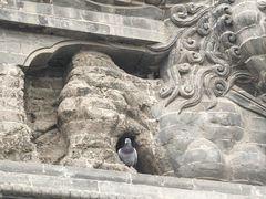 -广胜寺塔