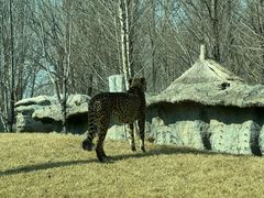 -北京野生动物园