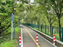 -广东花都湖国家湿地公园
