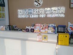 -瑞派雷欧宠物医院·24h夜诊·心脏骨科牙科·全科重症转诊中心(无影山店)