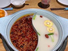 -青瓷火锅料理(西单大悦城店)