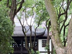 -上海醉白池公园