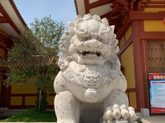 -三水森林公园