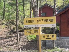 -洛阳白云山景区