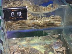 -加餐海鲜自助(宝龙一城店)