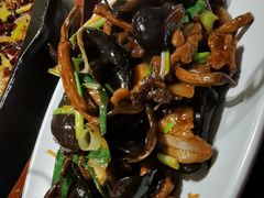 茶树菇木耳-老板恋上鱼(荣盛广场店)