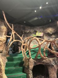 -探洞工场(丰科万达旗舰店)