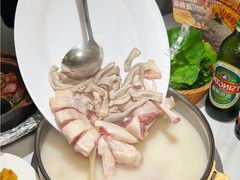 -顺德公·广东猪肚鸡(车公庙总店)