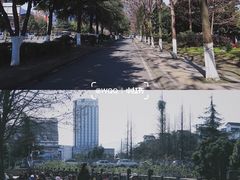 -老号尤兔头(幸福店)