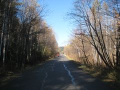 景点-五营红松林海景区