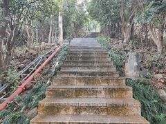 -小南山公园