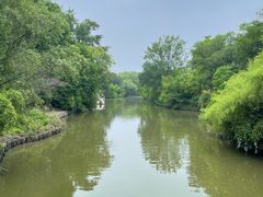 -西溪国家湿地公园