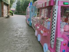 -美的鹭湖探索王国