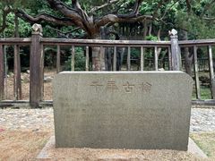 -草庵摩尼教遗址公园