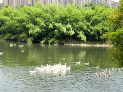 -菊园百果园