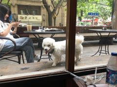 -VESH COFFEE(定西路店)