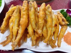 干炸沙丁鱼-春来酒家