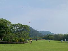 -顺峰山公园