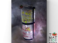 -tomato蕃茄田艺术(新天地中心)