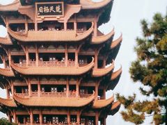 -黄鹤楼公园(黄鹤楼)