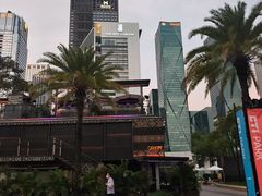 -深圳星河丽思卡尔顿酒店