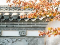 -塔川景区