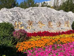 -永定河休闲森林公园