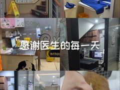 -瑞派天使宠物医院·神经外科·骨科·核磁(洛川中路店)