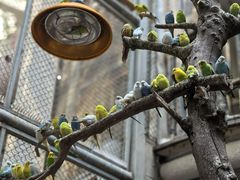 -正佳雨林生态植物园
