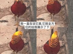 -云南野生动物园