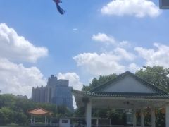 -荔湾湖公园