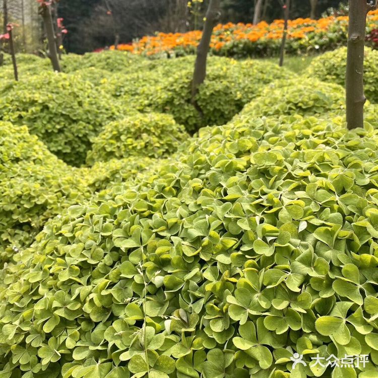 观赏着美丽的风景，春回大地，万物复苏，吸着清新的空气