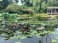 -国家植物园南园