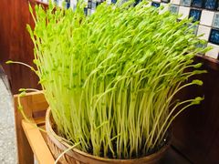 -廣順興(明鸿路店)