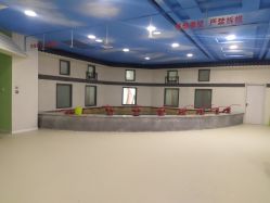 -DoDo梦想城(泉舜购物中心店)