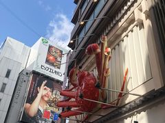 -蟹道乐(道顿堀本店)