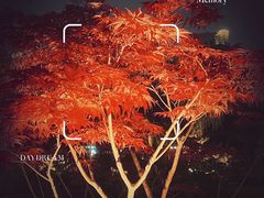 -木塔寺遗址生态公园