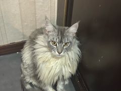 -宠爱国际维尼动物医院·疑难骨科·神经外科·肿瘤科(丰潭路店)