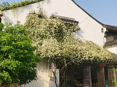 -山塘街