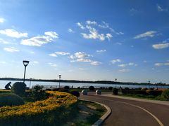 -丁香湖公园