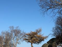 -灵山
